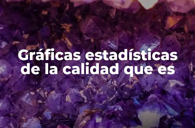 Gráficas Estadísticas de la Calidad que es