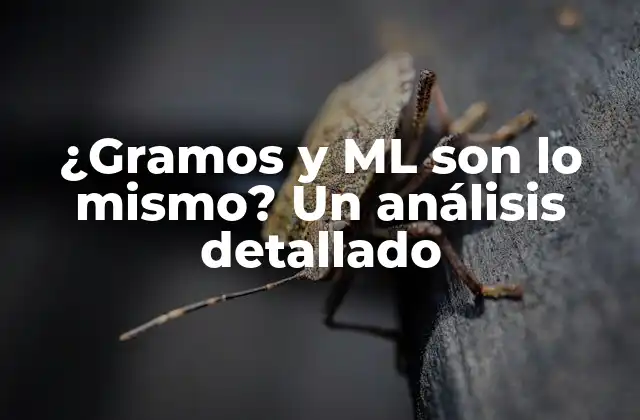 ¿gramos y Ml Son Lo Mismo? un Análisis Detallado 2 ¿Qué son los gramos?