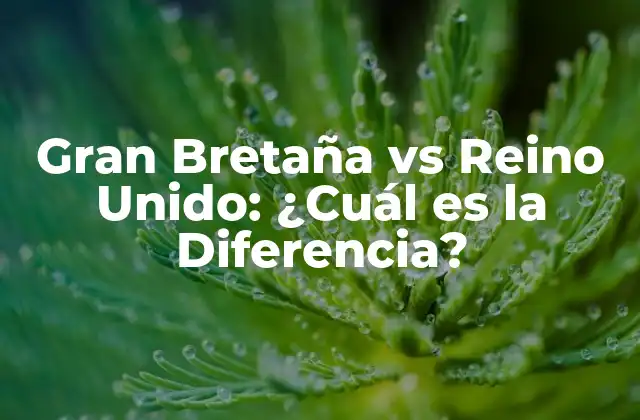 Gran Bretaña Vs Reino Unido: ¿cuál es la Diferencia?
