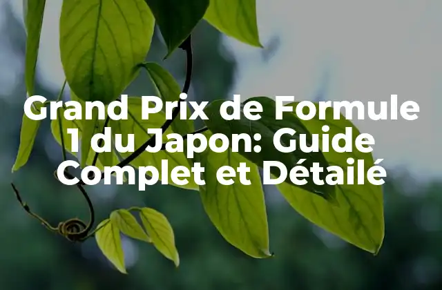 Grand Prix de Formule 1 Du Japon: Guide Complet Et Détailé