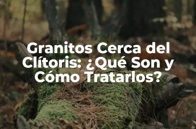 Granitos Cerca Del Clítoris: ¿qué Son y Cómo Tratarlos?