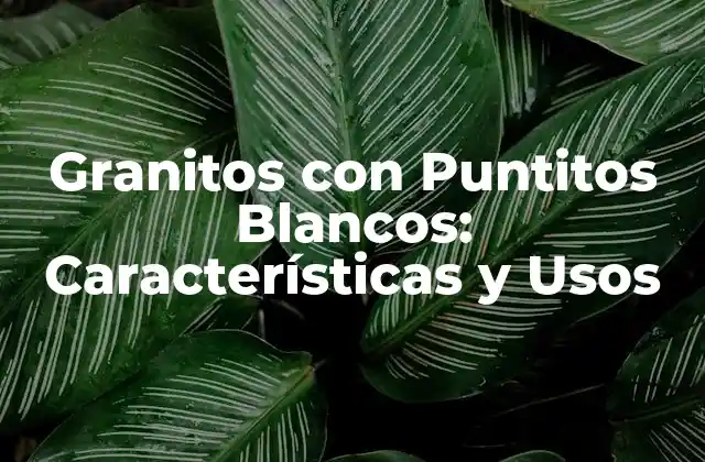 Granitos con Puntitos Blancos: Características y Usos 2 Orígenes y Tipos de Granitos con Puntitos Blancos