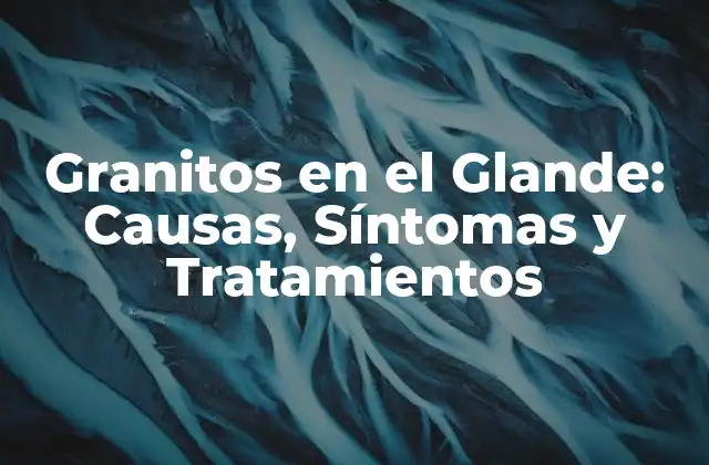 Granitos en el Glande: Causas, Síntomas y Tratamientos 2 ¿Qué son los Granitos en el Glande?