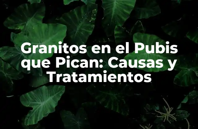 Granitos en el Pubis que Pican: Causas y Tratamientos 2 Causas de los Granitos en el Pubis que Pican