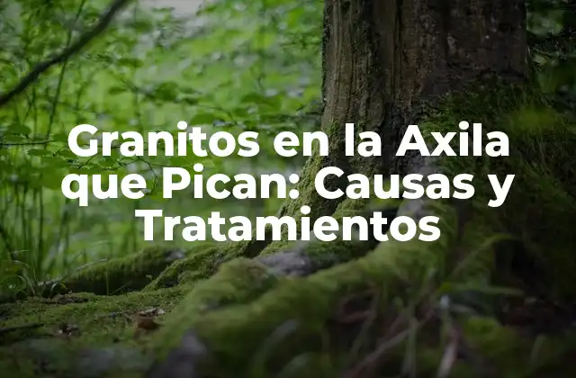 Granitos en la Axila que Pican: Causas y Tratamientos