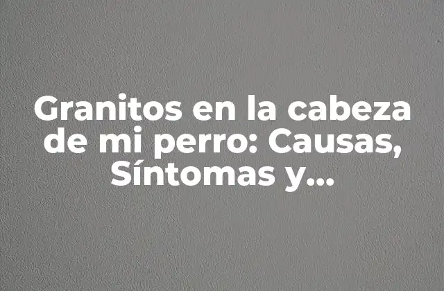 Granitos en la Cabeza de Mi Perro: Causas, Síntomas y Tratamiento