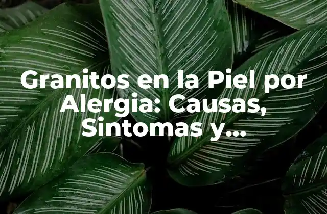 Granitos en la Piel por Alergia: Causas, Sintomas y Tratamientos
