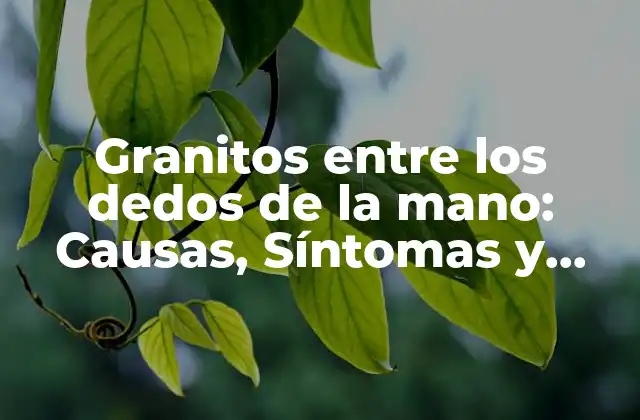Granitos entre los Dedos de la Mano: Causas, Síntomas y Tratamiento