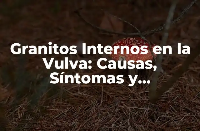 Granitos Internos en la Vulva: Causas, Síntomas y Tratamientos
