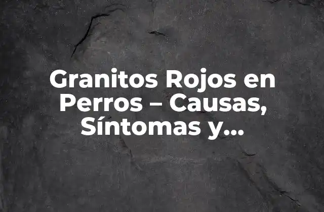 Granitos Rojos en Perros - Causas, Síntomas y Tratamiento 2 ¿Qué son los Granitos Rojos en Perros?
