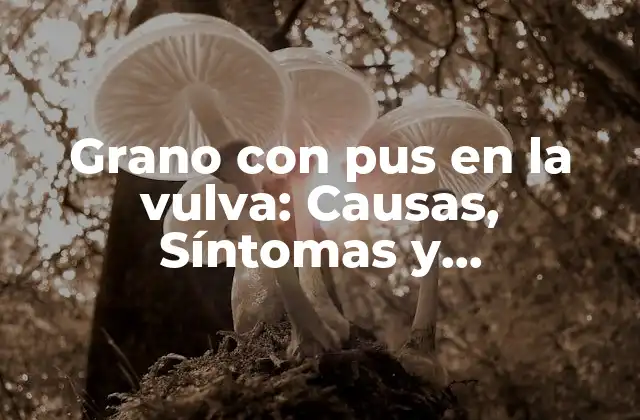 Grano con Pus en la Vulva: Causas, Síntomas y Tratamiento