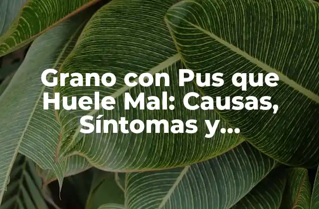 Grano con Pus que Huele Mal: Causas, Síntomas y Tratamiento