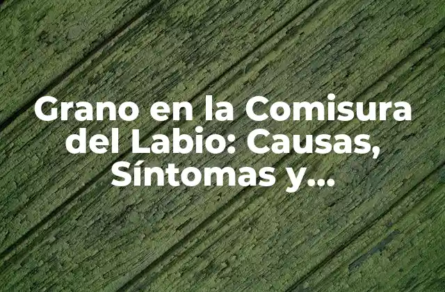 Grano en la Comisura Del Labio: Causas, Síntomas y Tratamientos