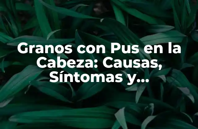 Granos con Pus en la Cabeza: Causas, Síntomas y Tratamiento 2 Causas de los Granos con Pus en la Cabeza