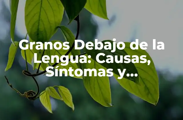 Granos Debajo de la Lengua: Causas, Síntomas y Tratamiento