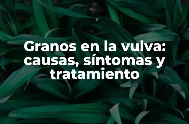 Granos en la Vulva: Causas, Síntomas y Tratamiento