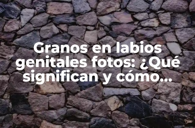 Granos en Labios Genitales Fotos: ¿qué Significan y Cómo Tratarlos?