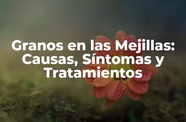 Granos en las Mejillas: Causas, Síntomas y Tratamientos