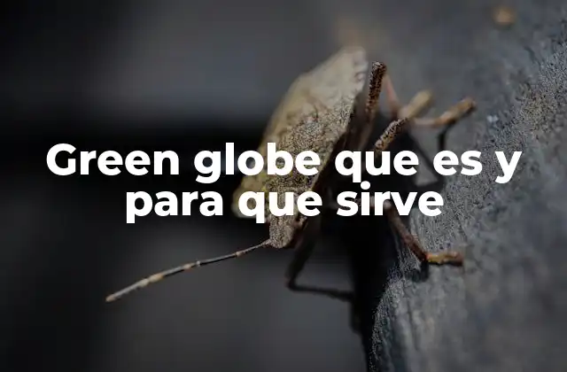 Green Globe que es y para que Sirve