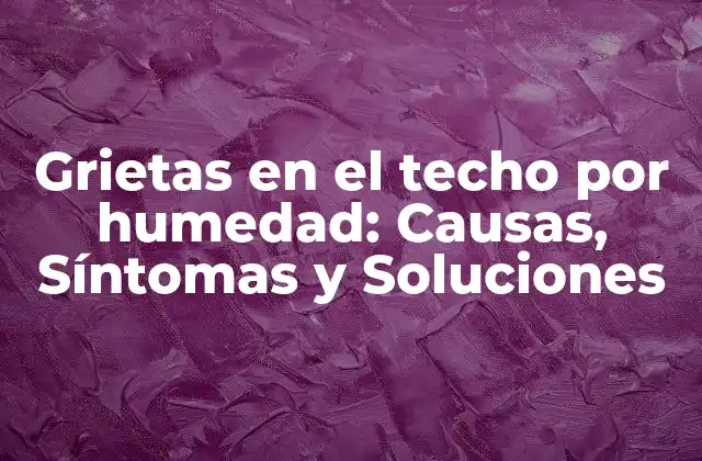 Grietas en el Techo por Humedad: Causas, Síntomas y Soluciones