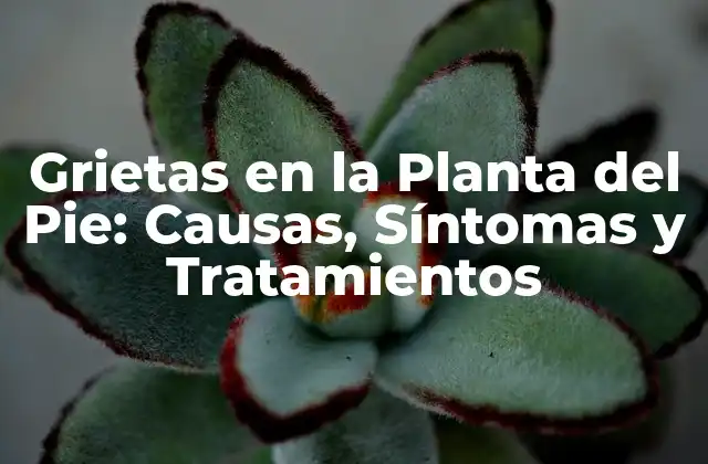 Grietas en la Planta Del Pie: Causas, Síntomas y Tratamientos