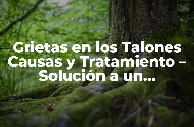 Grietas en los Talones Causas y Tratamiento – Solución a un Problema Común