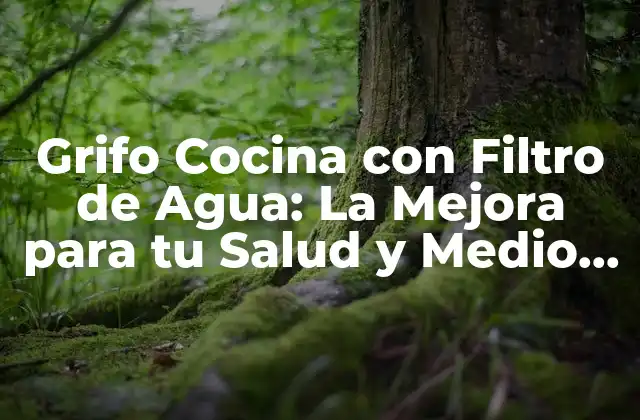 Grifo Cocina con Filtro de Agua: la Mejora para Tu Salud y Medio Ambiente