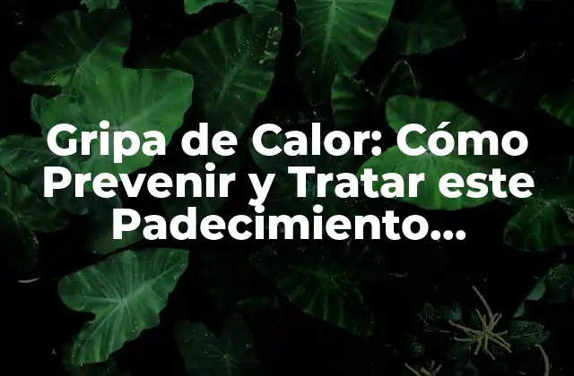 Gripa de Calor: Cómo Prevenir y Tratar Este Padecimiento Estacional