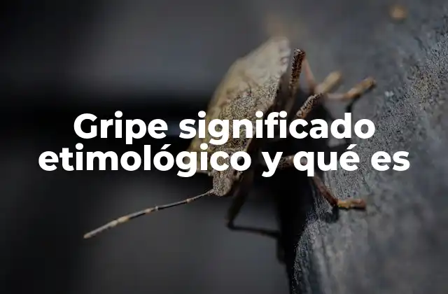 Gripe Significado Etimológico y Qué es