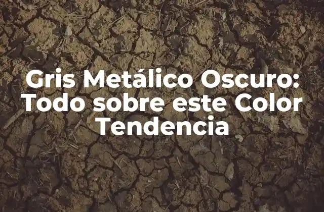 Gris Metálico Oscuro: Todo sobre Este Color Tendencia