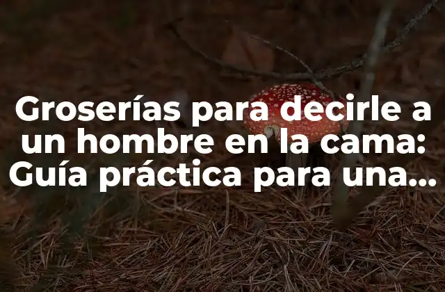 Groserías para Decirle a un Hombre en la Cama: Guía Práctica para una Intimidad Emocionante