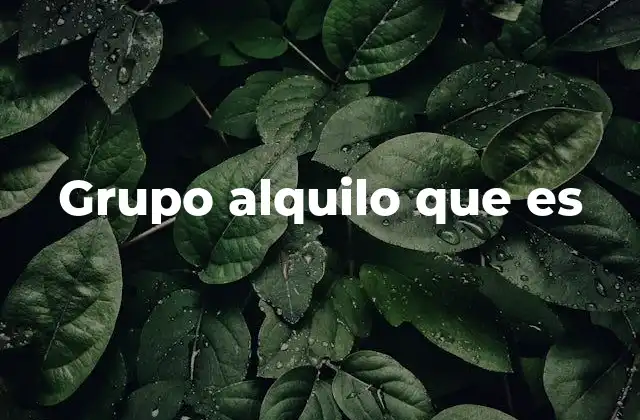 Grupo Alquilo que es