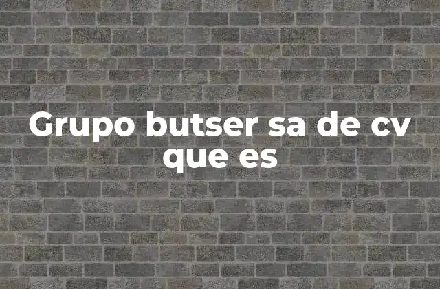 Grupo Butser Sa de Cv que es