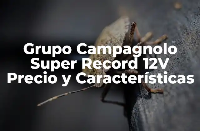 Grupo Campagnolo Super Record 12v Precio y Características