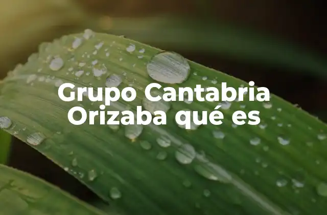 Grupo Cantabria Orizaba Qué es