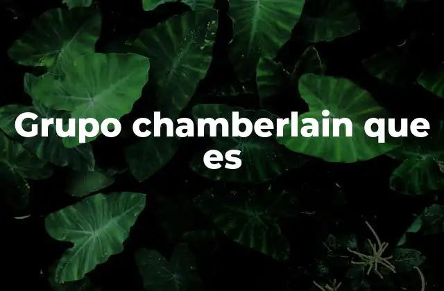 Grupo Chamberlain que es
