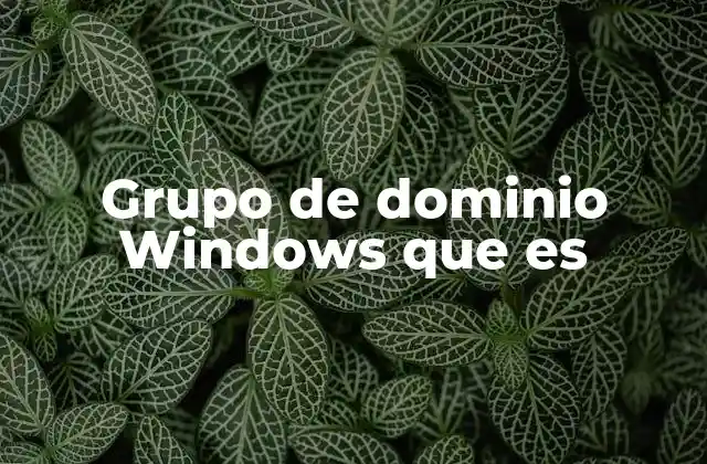 Grupo de Dominio Windows que es