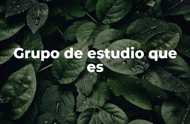 Grupo de Estudio que es