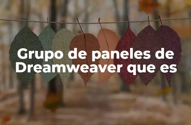 Grupo de Paneles de Dreamweaver que es