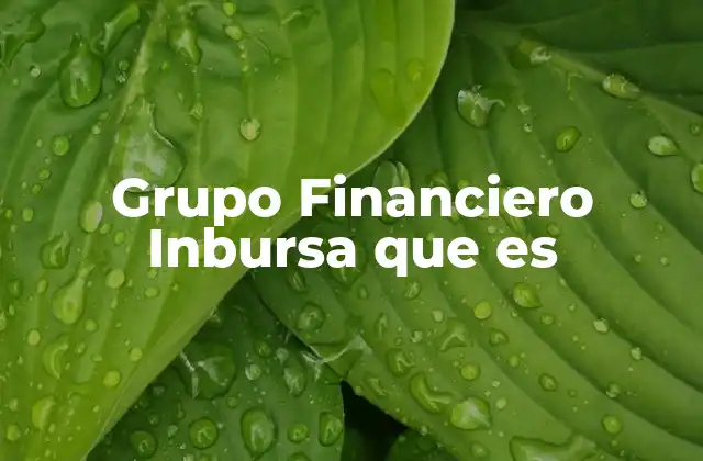 Grupo Financiero Inbursa que es
