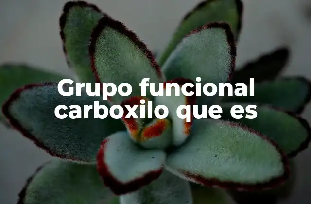 Grupo Funcional Carboxilo que es