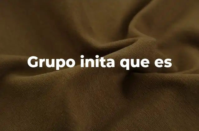 Grupo Inita que es