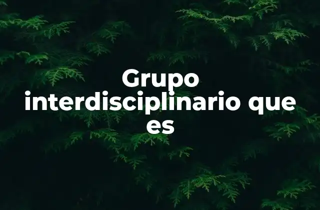 Grupo Interdisciplinario que es