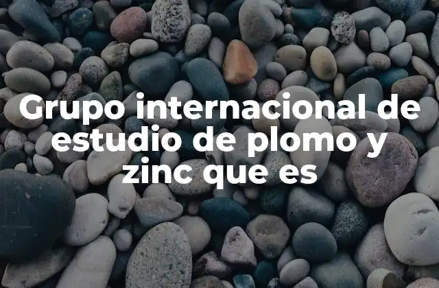 Grupo Internacional de Estudio de Plomo y Zinc que es