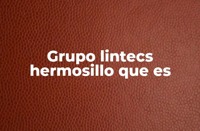Grupo Lintecs Hermosillo que es