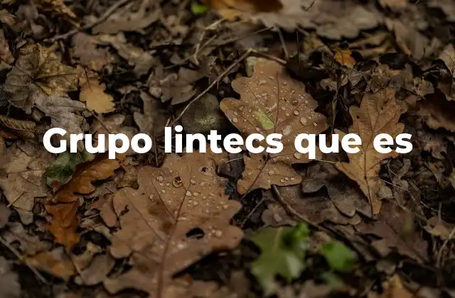 Grupo Lintecs que es