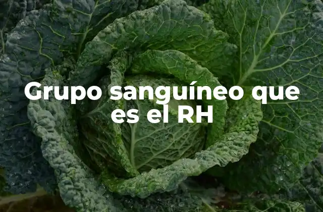 Grupo Sanguíneo que es el Rh