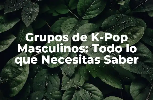 Grupos de K-pop Masculinos: Todo Lo que Necesitas Saber
