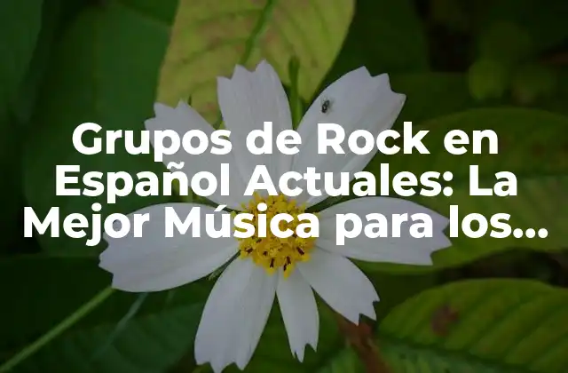 Grupos de Rock en Español Actuales: la Mejor Música para los Amantes Del Rock
