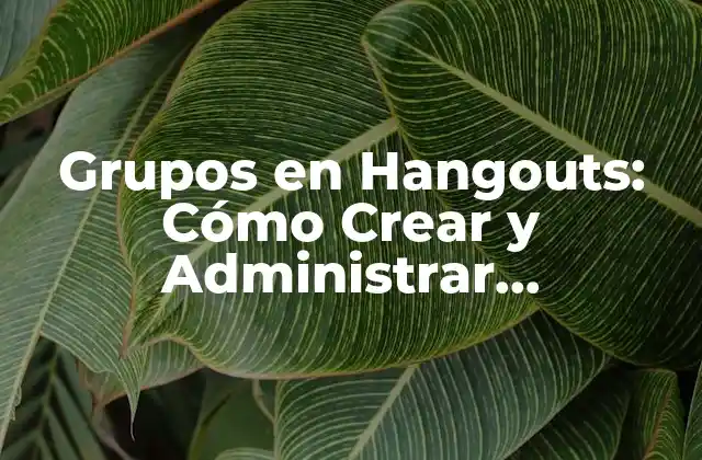 Grupos en Hangouts: Cómo Crear y Administrar Comunidades en Línea